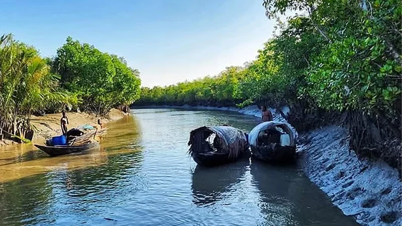 সুন্দরবনে কোস্টগার্ড-বনদস্যু গোলাগুলিতে নিহত ১, আটক ‘দুলাভাই’ বাহিনীপ্রধান